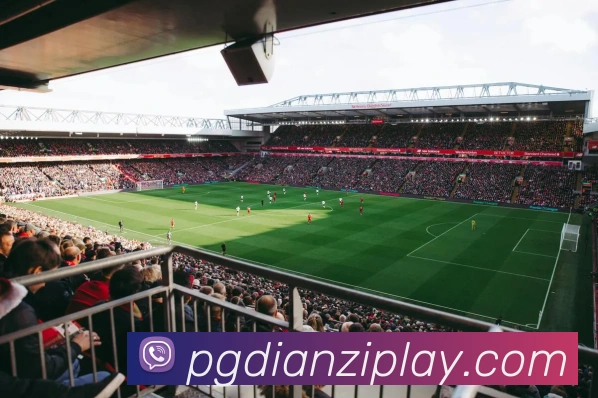 App Interface Preview
